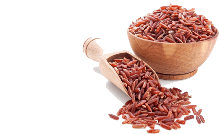 CÔNG TY CỔ PHẦN NPD VIỆT NAM