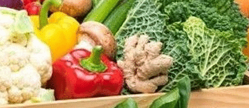 CÔNG TY CỔ PHẦN NPD VIỆT NAM